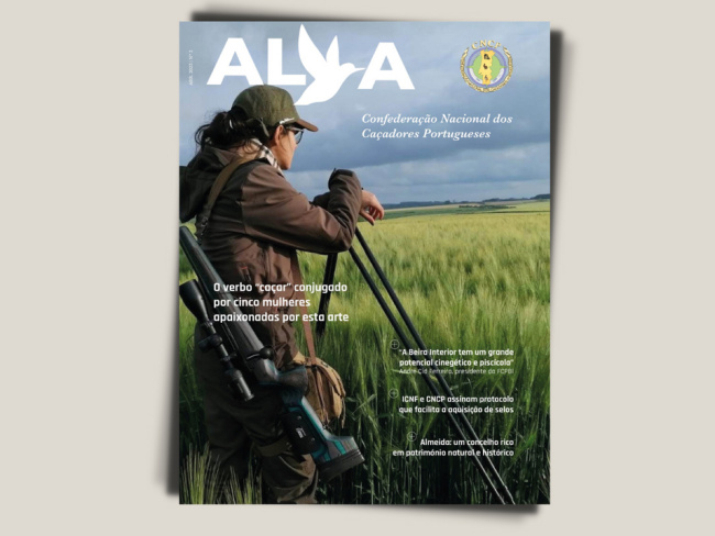 Segundo número da Revista ALVA já disponível
