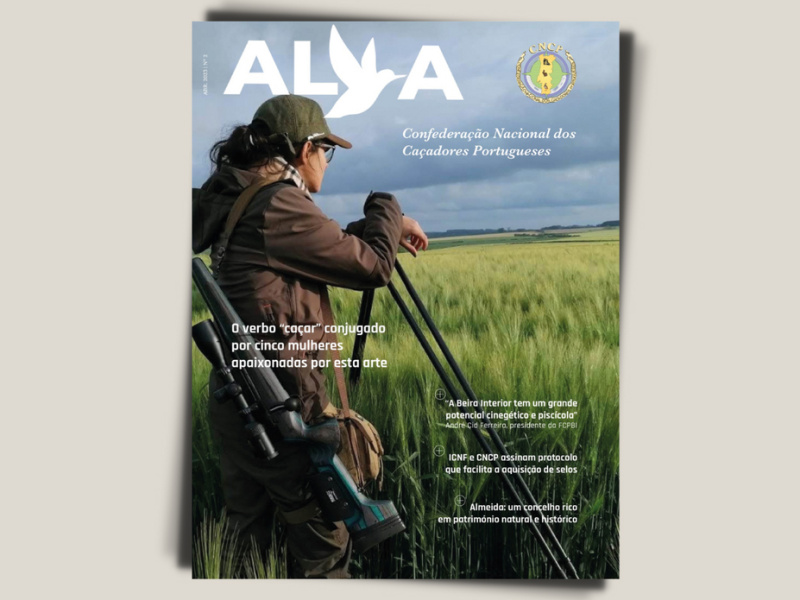 Segundo número da Revista ALVA já disponível