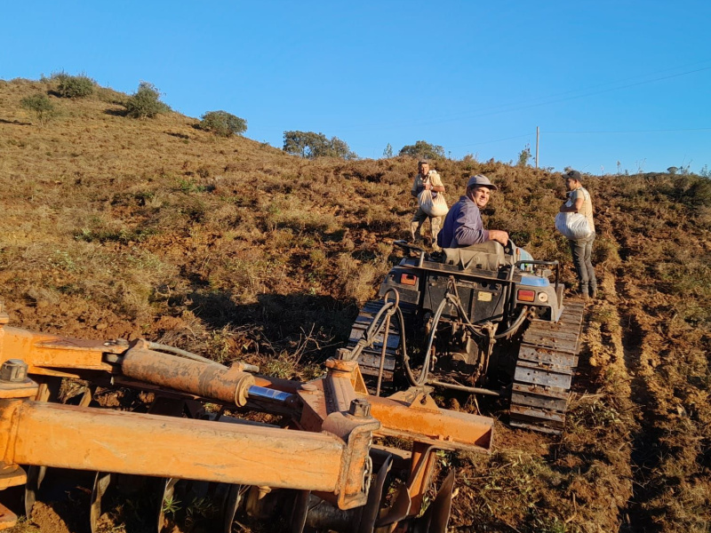 Castro Marim: lavouras e novas plantações para prevenção de incêndios