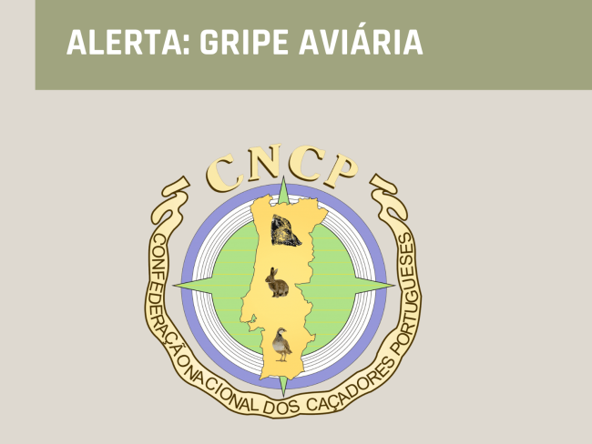 Informação importante sobre vigilância da gripe aviária