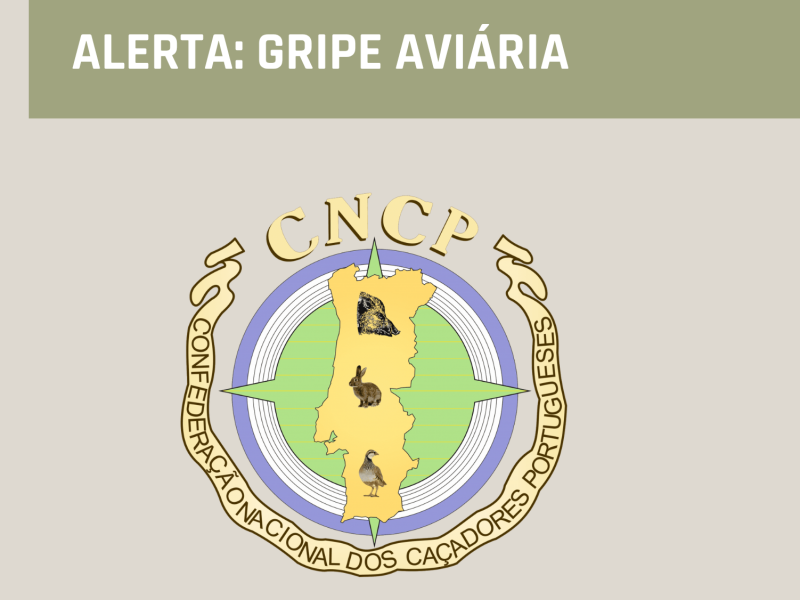 Informação importante sobre vigilância da gripe aviária