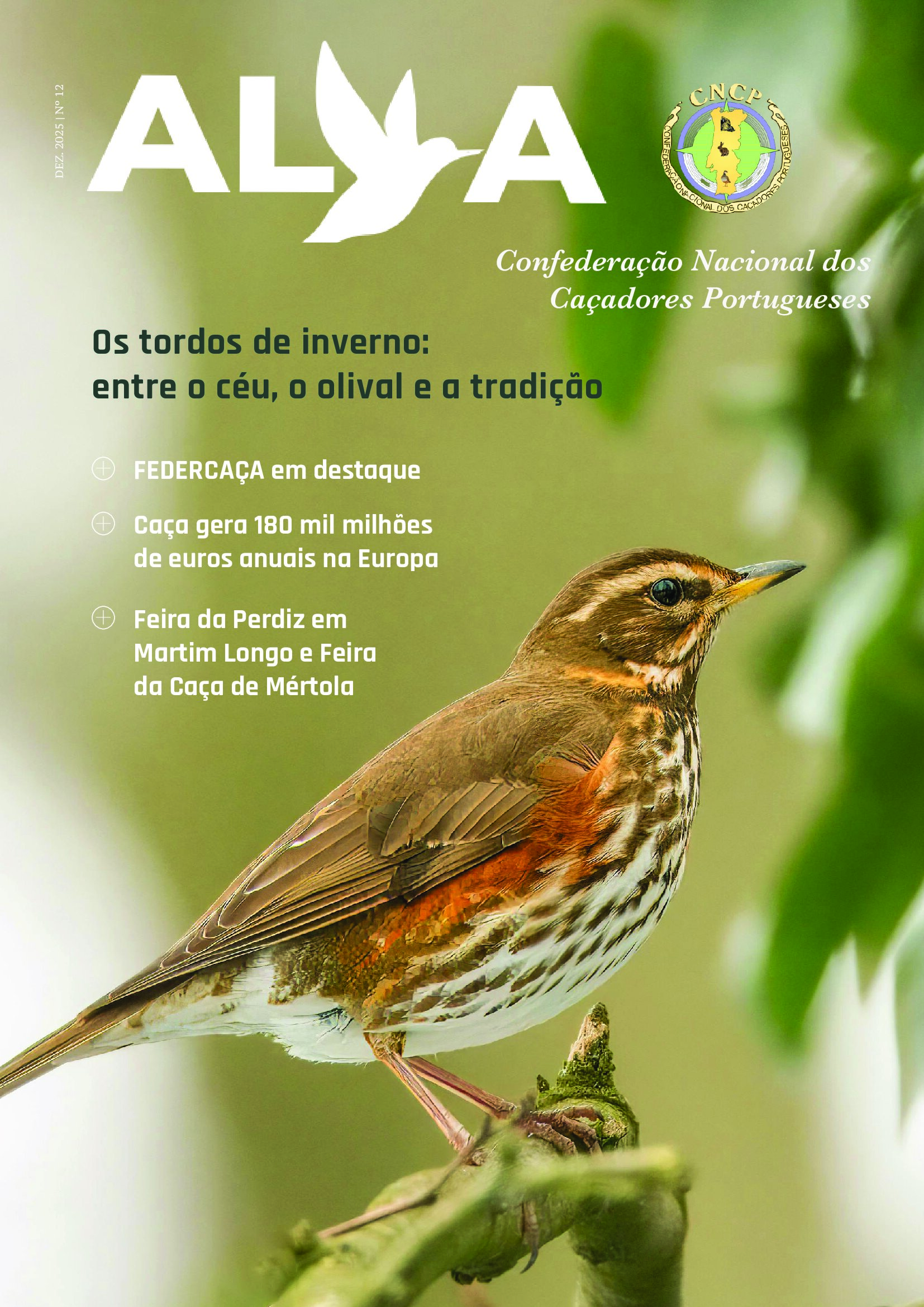 Revista ALVA - Edição 12