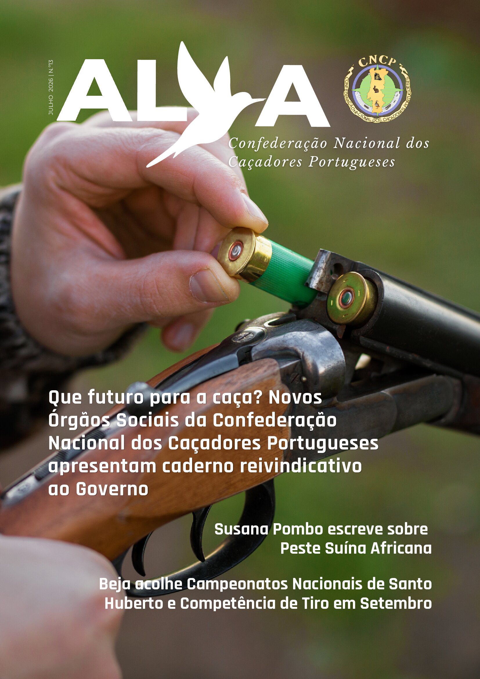 Revista ALVA - Edição 13