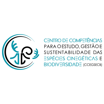 Centro de Competências